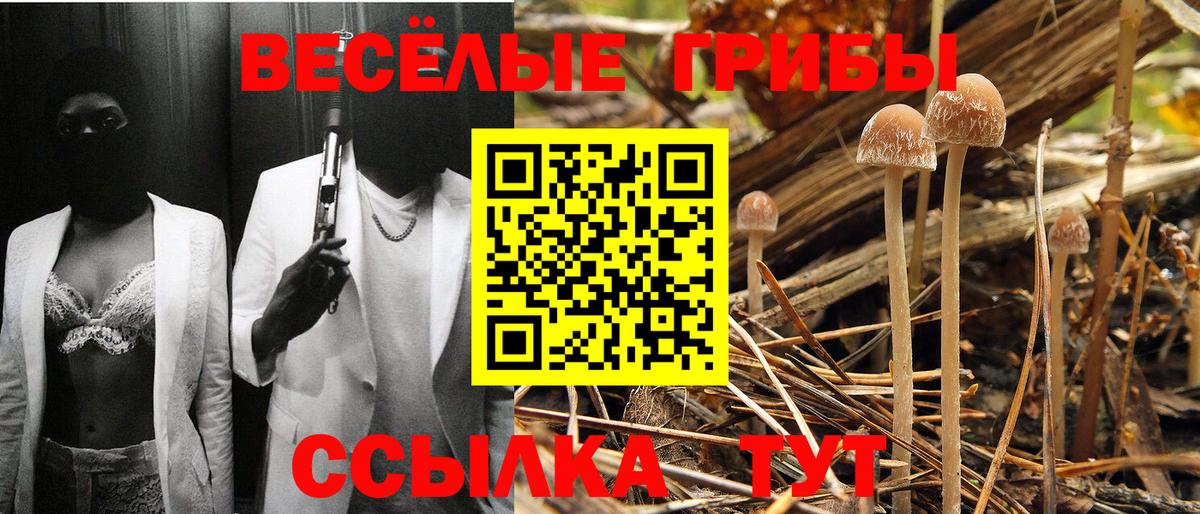 Белореченск  где найти   Галлюциногенные грибы ЛСД  Вход с VPN  Псилоцибиновые грибы прущие грибы 